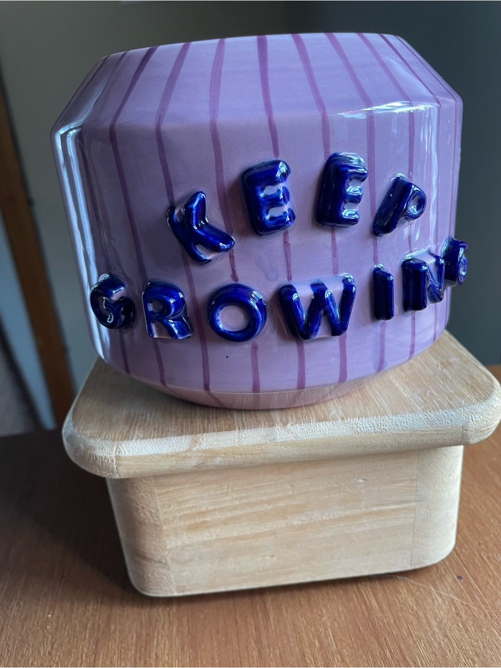 Anthropologie Handpainted Garden Greeting Pot Keep Growing Planter